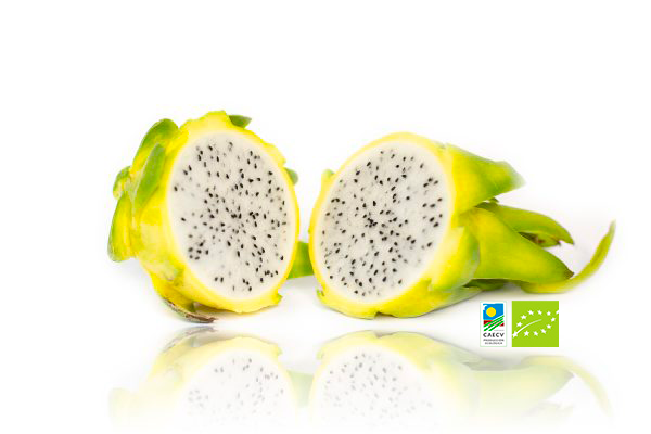 Pitahaya Amarilla