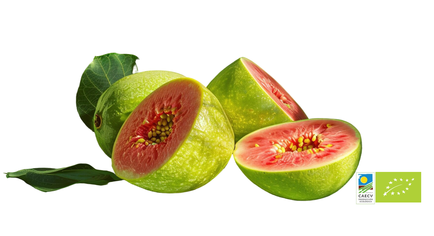 Guayaba Rosa